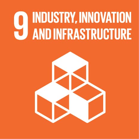 SDG 9