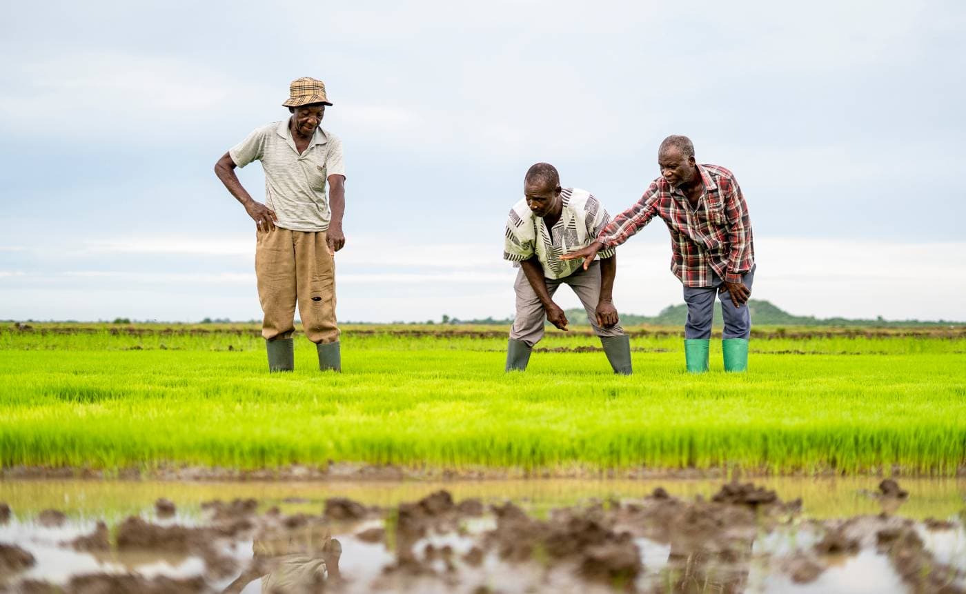 Gain a front row seat to invest in farms and commodities trading.